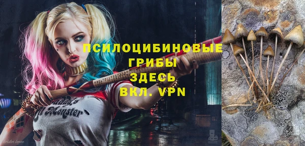 ешки Зеленокумск