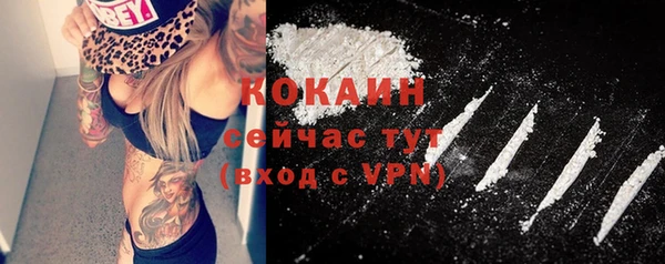 круглые Иннополис