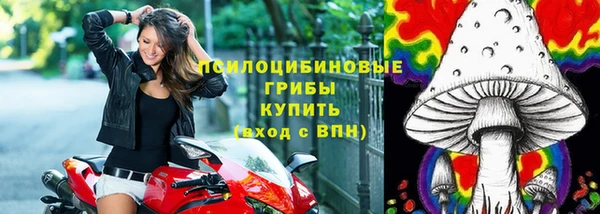 МДМА Инсар