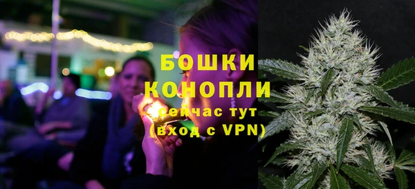 круглые Иннополис